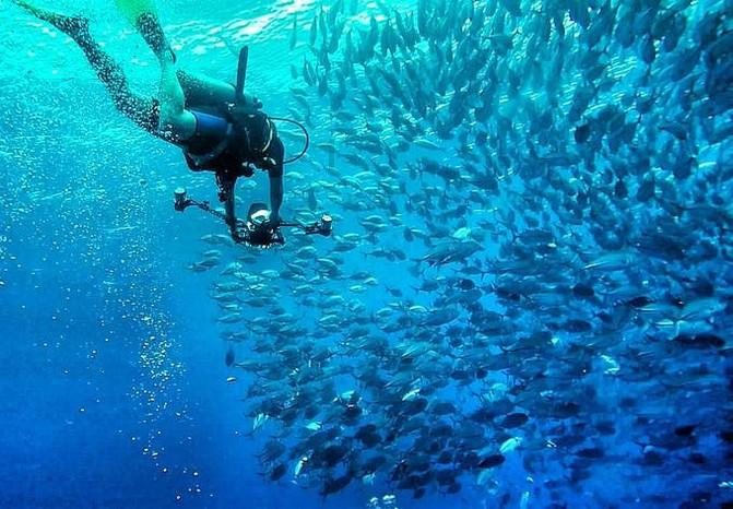 牛油果面包